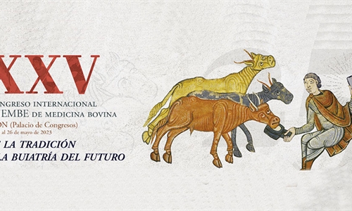 XXV Congreso Internacional ANEMBE de Medicina Bovina