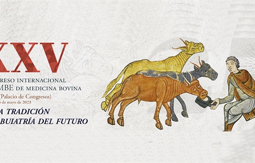 XXV Congreso Internacional ANEMBE de Medicina Bovina