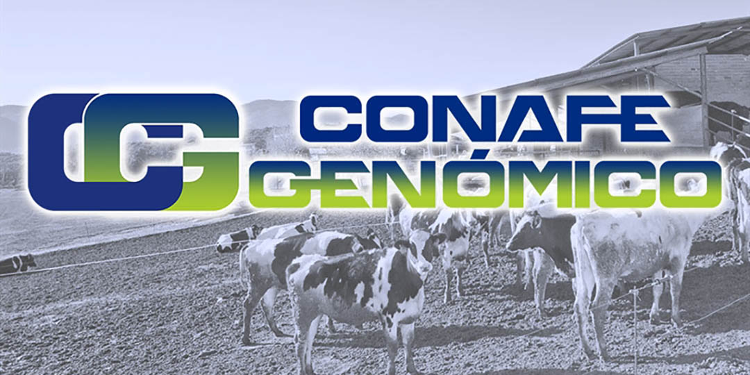 Actualizaci�n de las pruebas gen�micas de Hembras CONAFE Febrero 2023