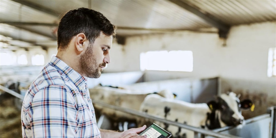 FarmTrace y UNIFORM-Agri se asocian para compartir datos de granjas