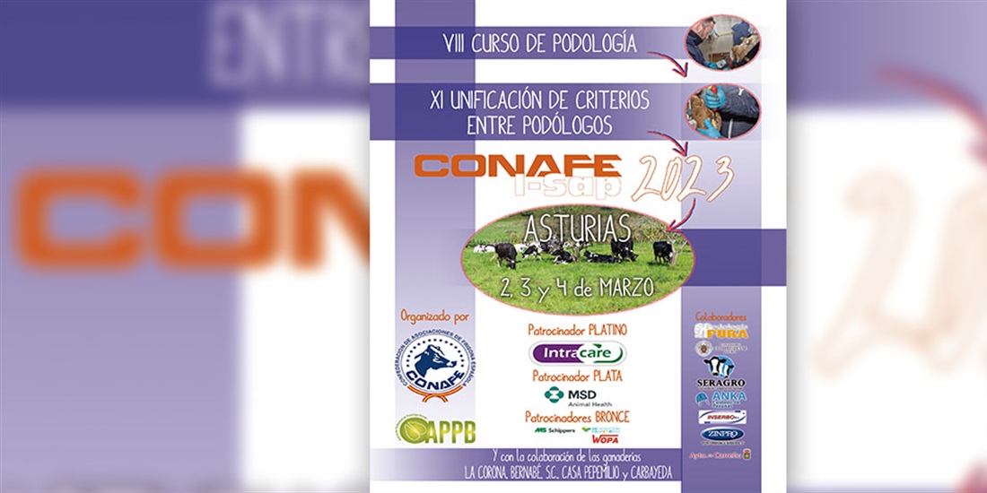 Ya est disponible el programa del VIII Curso de Podologa Bovina de...