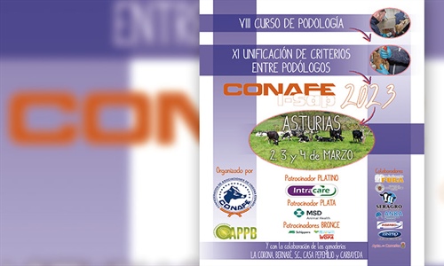 Ya est disponible el programa del VIII Curso de Podologa Bovina de...