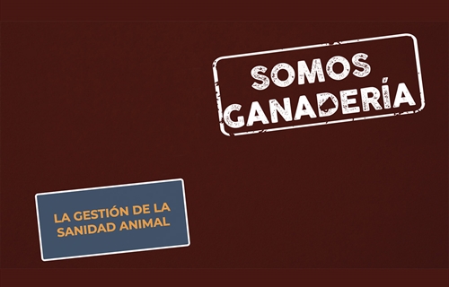 #RealidadGanadera: La gestin de la sanidad animal