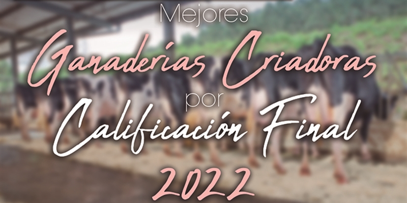 Mejores Ganaderas Criadoras por Calificacin Final de 2022