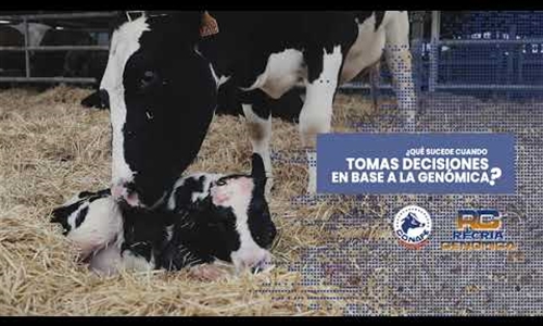 �Qu� sucede cuando tomas decisiones bas�ndote en la gen�mica en tu...