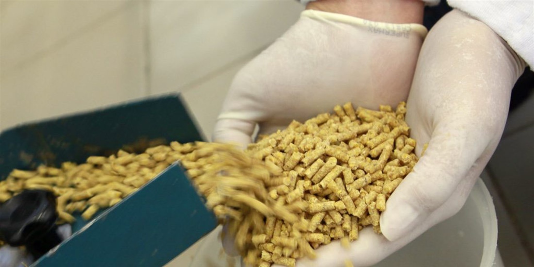 #RealidadGanadera: La importancia de los aditivos en alimentacin animal