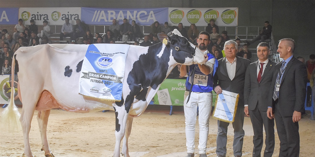 Rey 814 Beemer Yuri, elegida Vaca Gran Campeona de Galicia FEFRIGA 2023