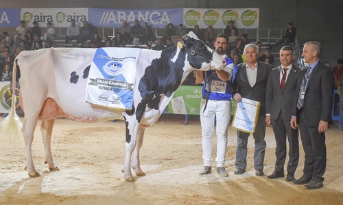 Rey 814 Beemer Yuri, elegida Vaca Gran Campeona de Galicia FEFRIGA 2023