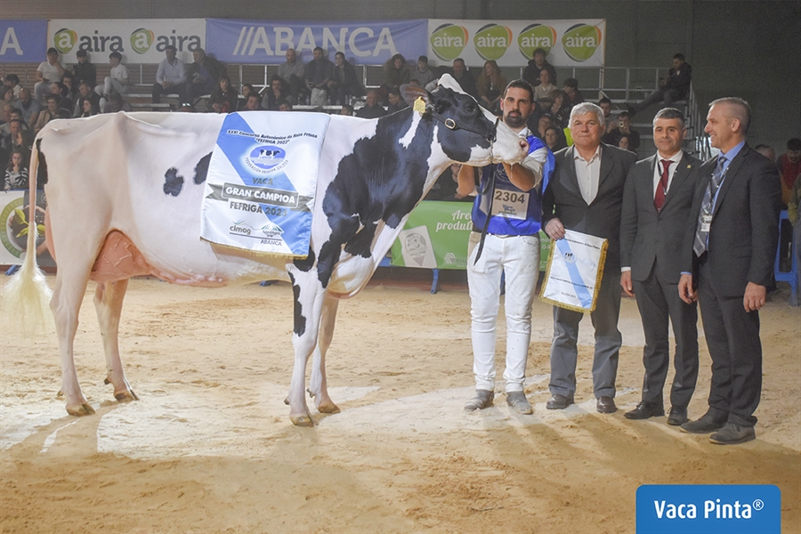 Rey 814 Beemer Yuri, elegida Vaca Gran Campeona de Galicia FEFRIGA 2023