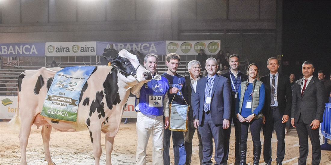 Serrada Chantel Chief, Vaca Gran Campeona Internacional Gandagro 2023
