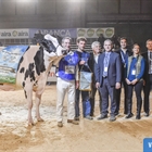 Serrada Chantel Chief, Vaca Gran Campeona Internacional Gandagro 2023