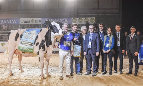 Serrada Chantel Chief, Vaca Gran Campeona Internacional Gandagro 2023