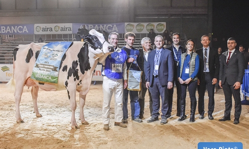 Serrada Chantel Chief, Vaca Gran Campeona Internacional Gandagro 2023