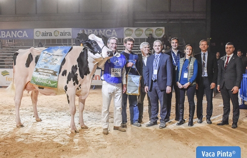 Serrada Chantel Chief, Vaca Gran Campeona Internacional Gandagro 2023