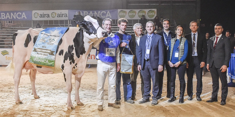 Serrada Chantel Chief, Vaca Gran Campeona Internacional Gandagro 2023