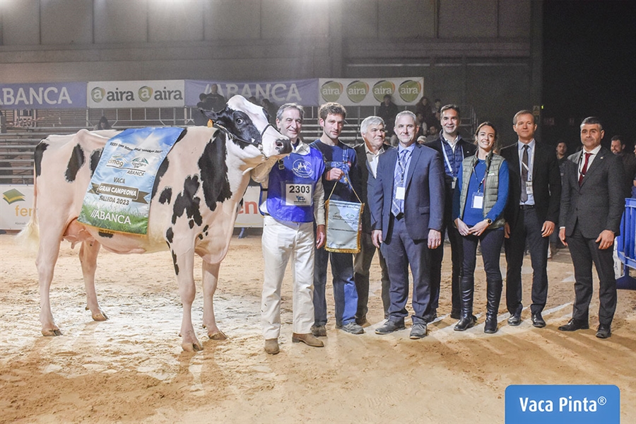 Serrada Chantel Chief, Vaca Gran Campeona Internacional Gandagro 2023