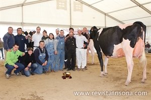 23 Concurso Cataln de Raza Frisona 2023