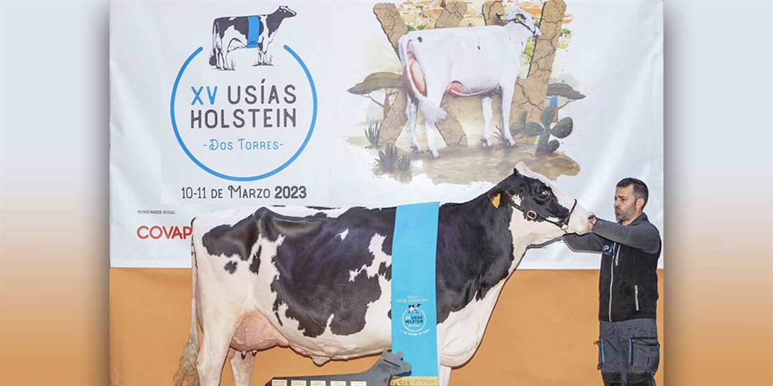 Vistahermosa Awesome BYMY 0538, Vaca Gran Campeona del Usas Holstein 2023