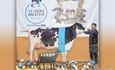Vistahermosa Awesome BYMY 0538, Vaca Gran Campeona del Usías Holstein 2023