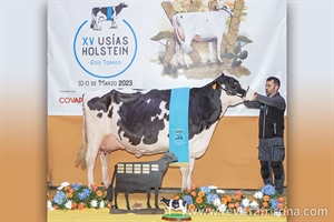 Vistahermosa Awesome BYMY 0538, Vaca Gran Campeona del Usías Holstein 2023