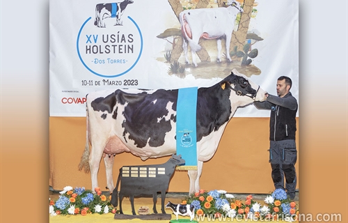 Vistahermosa Awesome BYMY 0538, Vaca Gran Campeona del Usas Holstein 2023