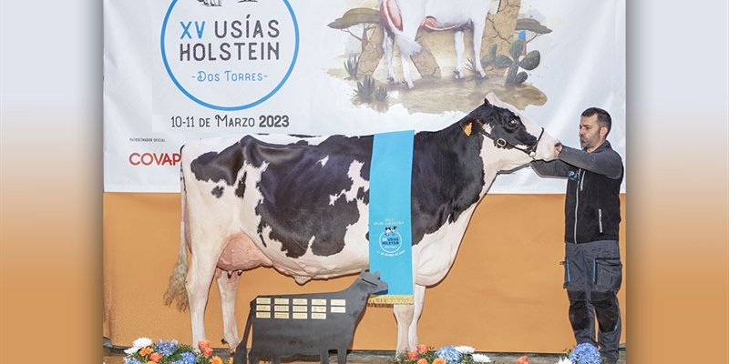 Vistahermosa Awesome BYMY 0538, Vaca Gran Campeona del Usas Holstein 2023