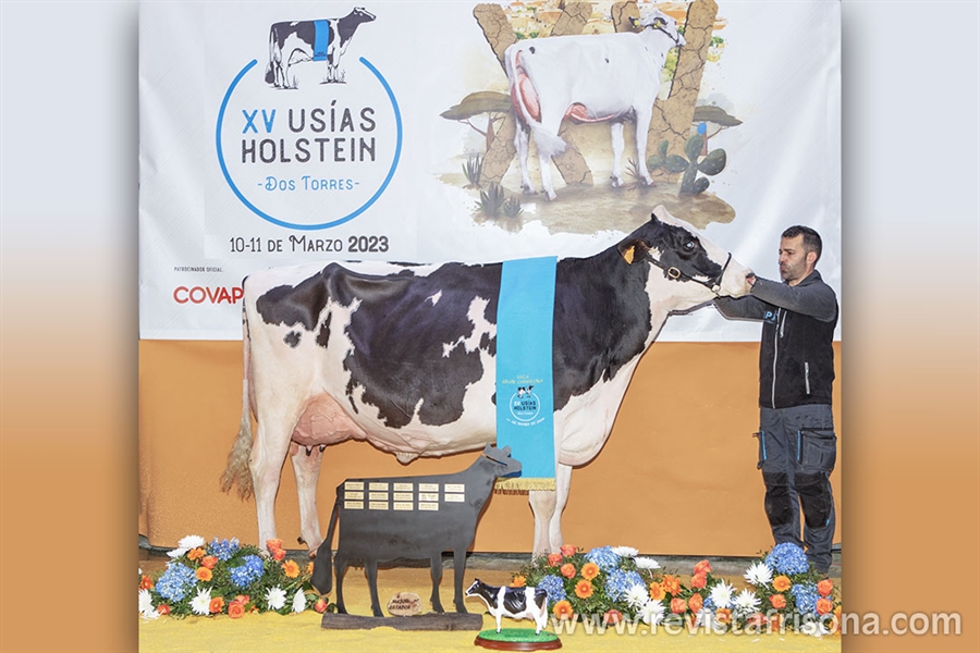 Vistahermosa Awesome BYMY 0538, Vaca Gran Campeona del Usas Holstein 2023
