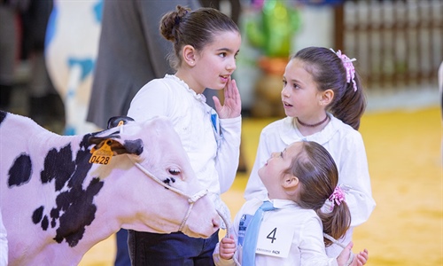 Pequeos grandes manejadores en el Usas Holstein 2023