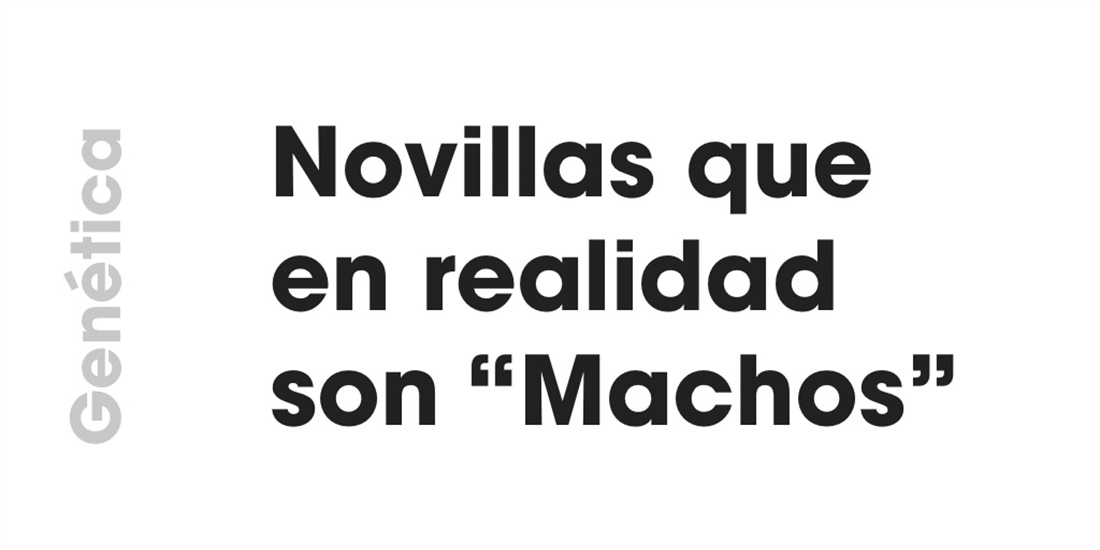 Gentica: Novillas que en realidad son "Machos"