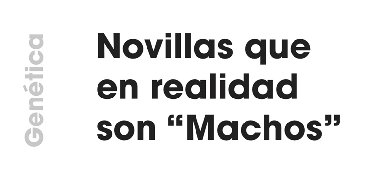 Gentica: Novillas que en realidad son "Machos"