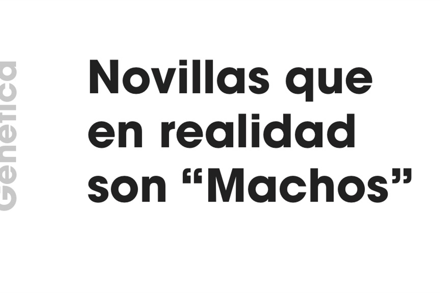 Gentica: Novillas que en realidad son "Machos"