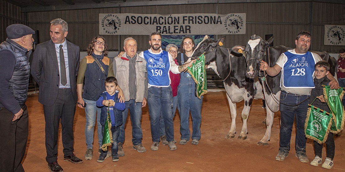 Binisegui Byway Kala (Binigafull), Vaca Gran Campeona de Menorca 2023