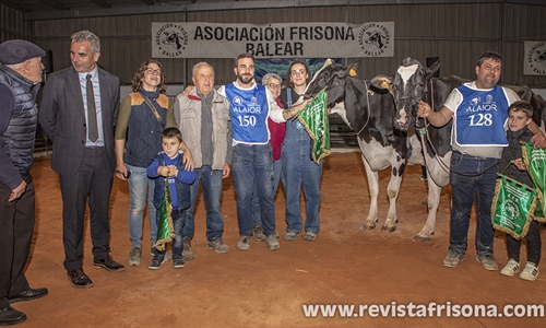 Binisegui Byway Kala (Binigafull), Vaca Gran Campeona de Menorca 2023