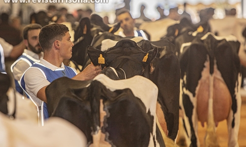 Otra mirada al XXXV Concurso Morfolgico de Ganado Bovino Frisn de...