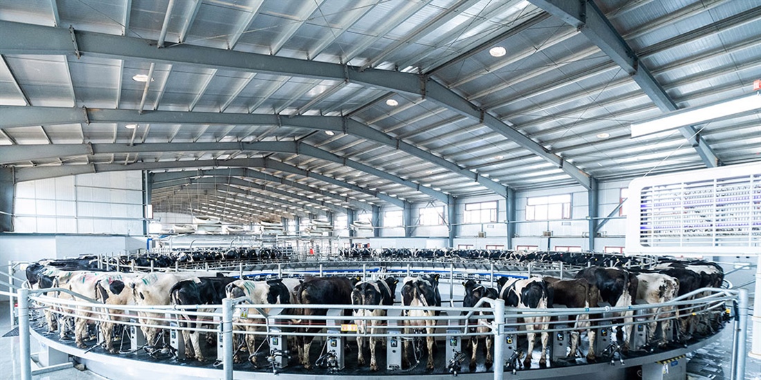 DeLaval lanza la rotativa E500