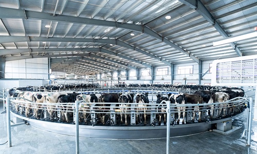 DeLaval lanza la rotativa E500