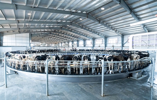 DeLaval lanza la rotativa E500