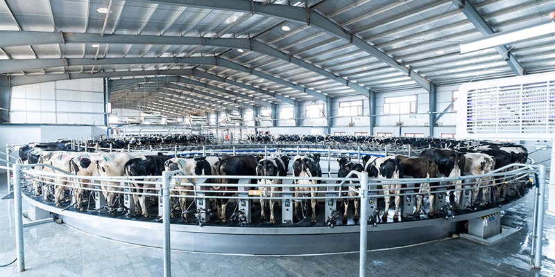 DeLaval lanza la rotativa E500