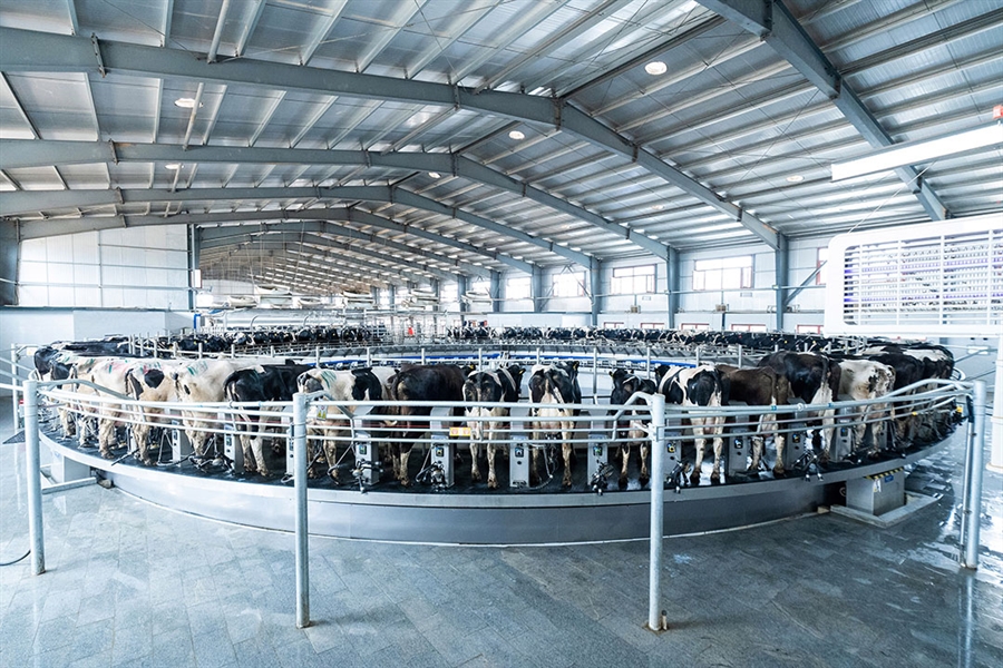 DeLaval lanza la rotativa E500