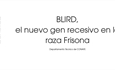BLIRD, el nuevo gen recesivo en la raza Frisona
