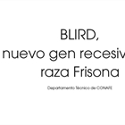 BLIRD, el nuevo gen recesivo en la raza Frisona