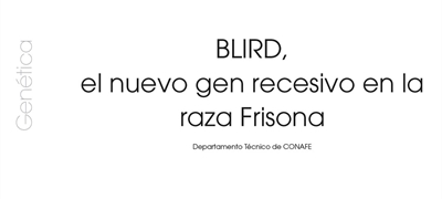 BLIRD, el nuevo gen recesivo en la raza Frisona