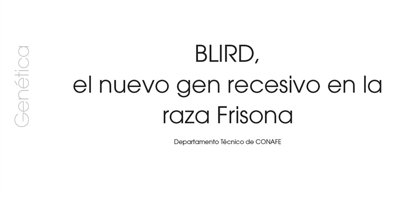 BLIRD, el nuevo gen recesivo en la raza Frisona