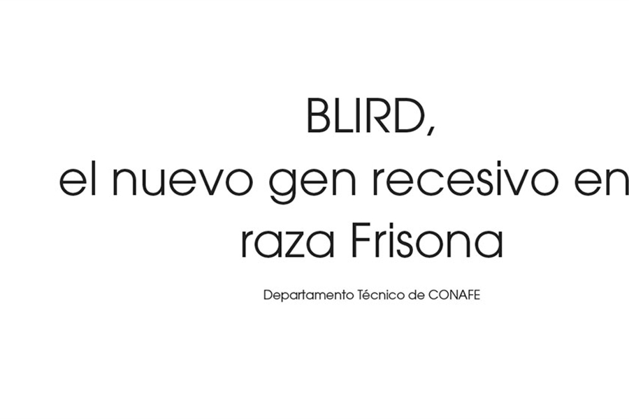 BLIRD, el nuevo gen recesivo en la raza Frisona