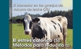 El bienestar en las granjas de vacuno de leche (XI): El estrés calórico (5): Métodos para reducirlo (2)