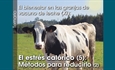 El bienestar en las granjas de vacuno de leche (XI): El estrs calrico (5): Mtodos para reducirlo (2)