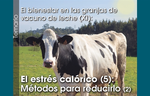El bienestar en las granjas de vacuno de leche (XI): El estrés calórico...