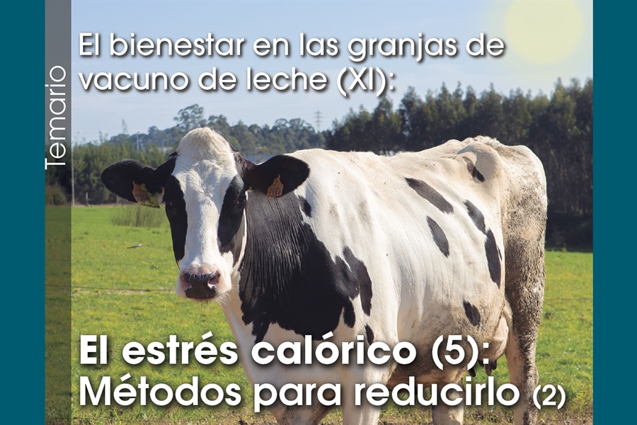 El bienestar en las granjas de vacuno de leche (XI): El estrs calrico...