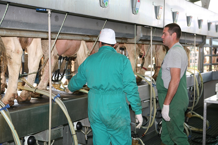 Dos dcadas y casi 10.000 kilos de leche marcan la diferencia en la...