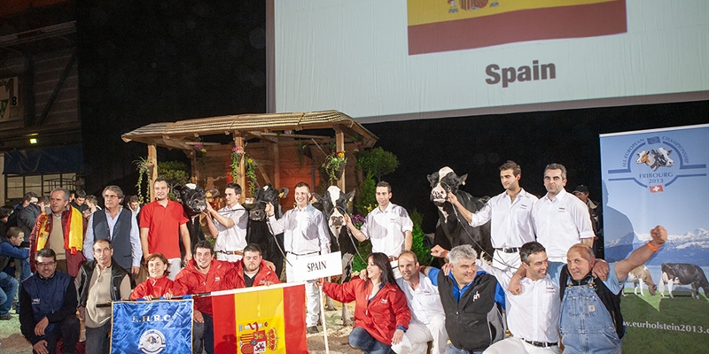 Dcimo aniversario: Espaa, mejor pas Holstein de Europa 2013